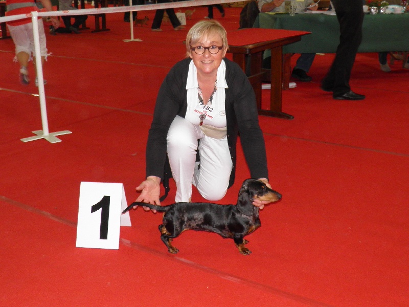 Publication : de la maison d'Omer Auteur : Isabelle Goedefroit