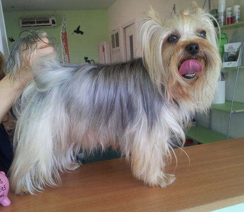 Publication : de L'Elpazeor 