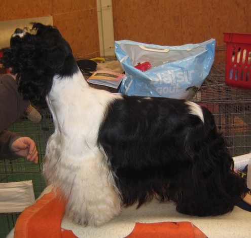 Publication : Du val de miège 