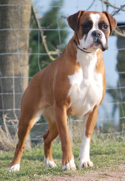 Publication : De la crique du Flojule Auteur : cedric grange