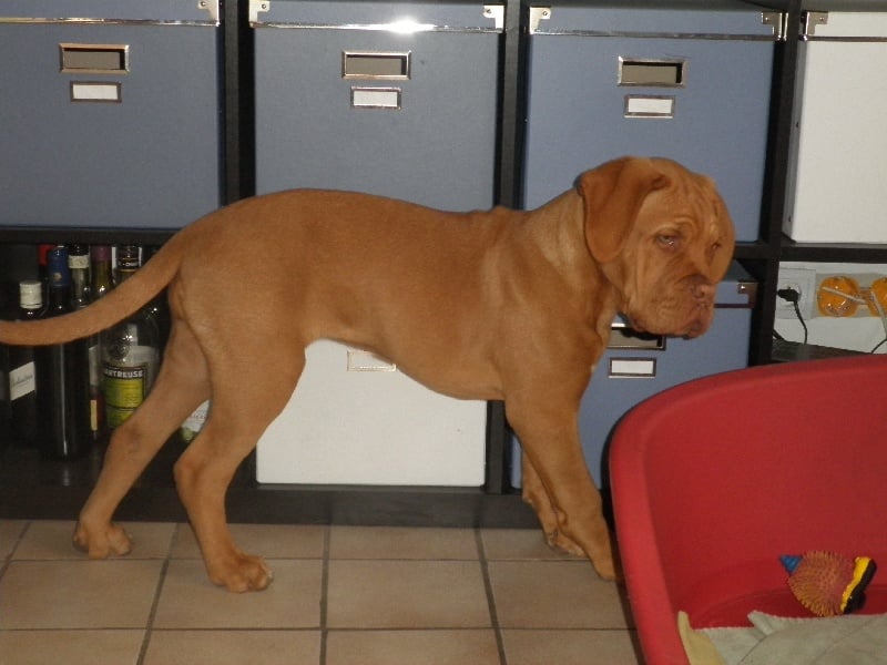 Publication : De La Rue Bleue 