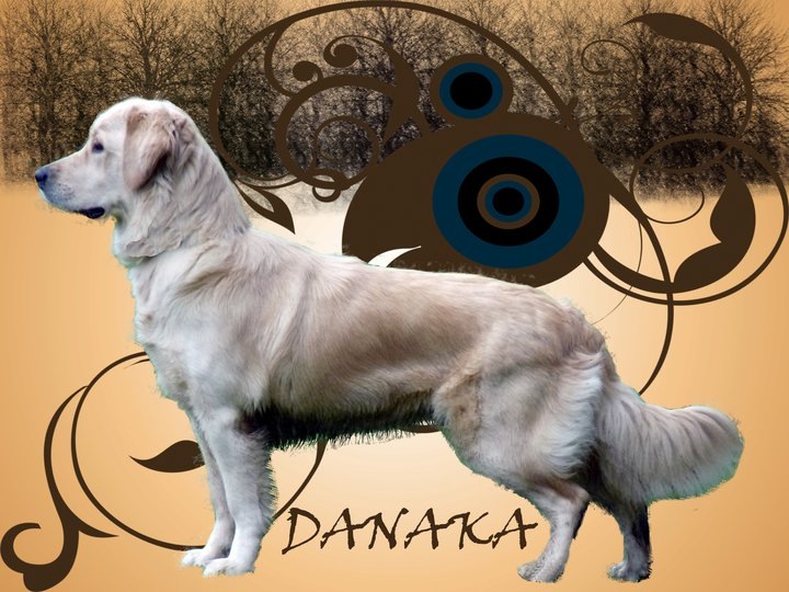 Danaka (Sans Affixe)
