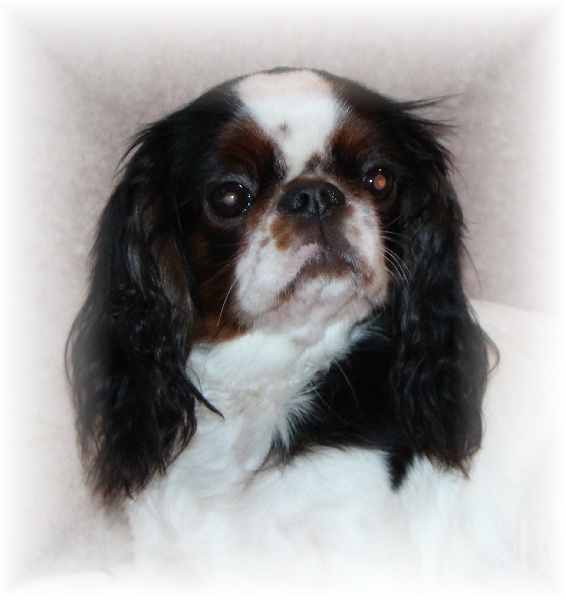 Emma De la montagne ensoleillee