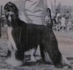 bonanza's Magaii of sanallah