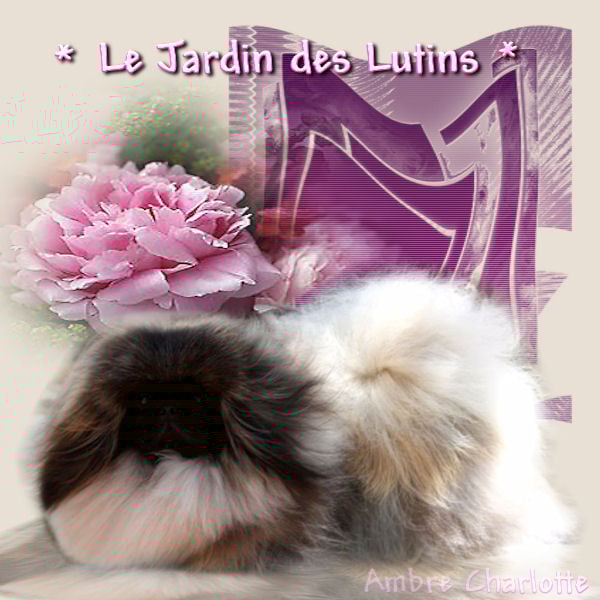 Publication : du Jardin des Lutins Auteur : morel katia