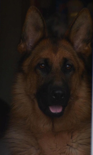 Publication : Du Domaine De L'estuaire 