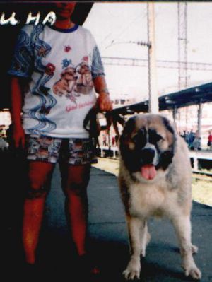 Dzhina-ll (Sans Affixe)