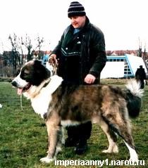 CH. Kunak (Sans Affixe)