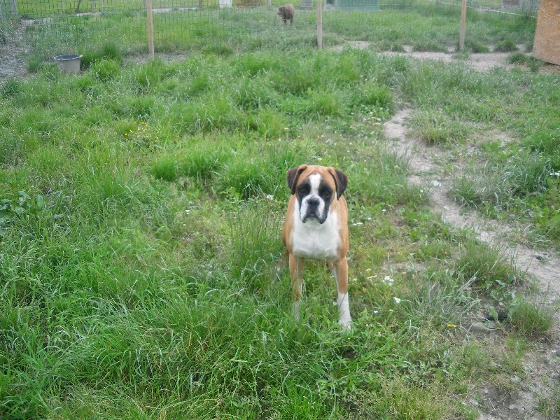 Publication : des Fidèles de l'Ile Intense 