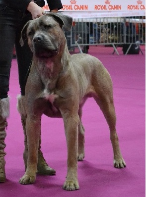 Publication : Des Gardiens Du Grand Listrac