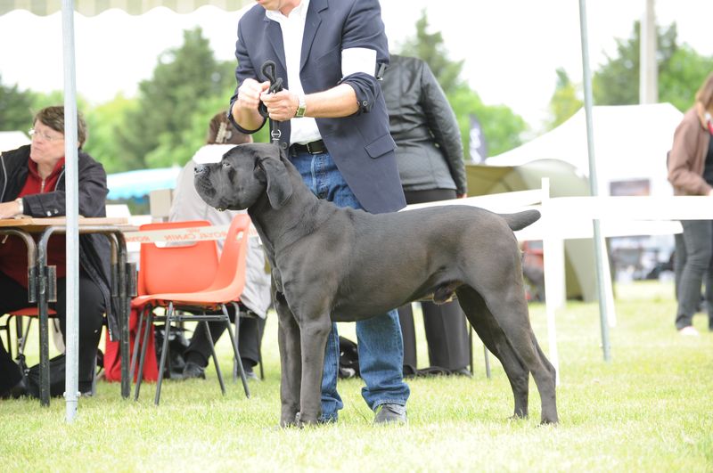 Publication : du Mas des Amandiers Auteur : Guillaume