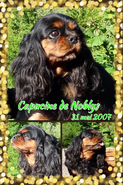 Cappucine De noblys