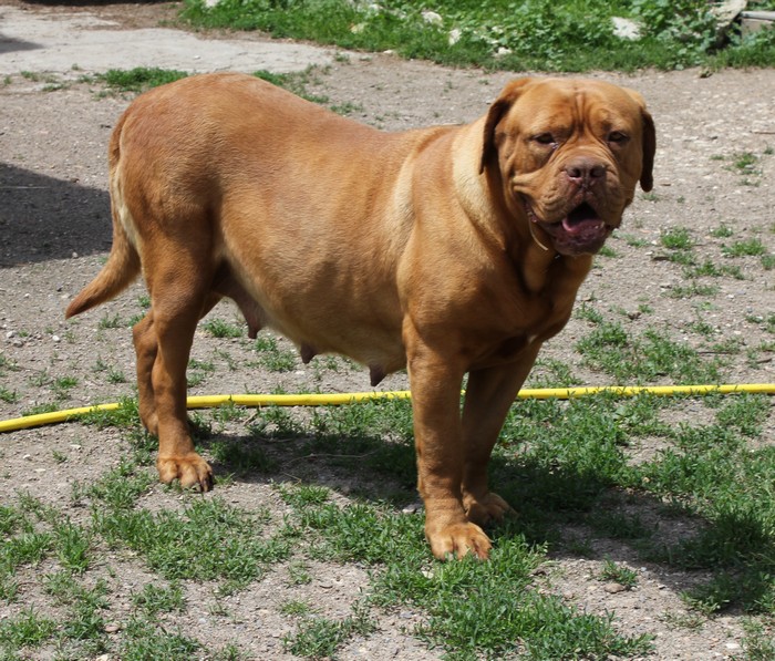 Publication : (Sans Affixe) Auteur : Melle Pollosse Nadège