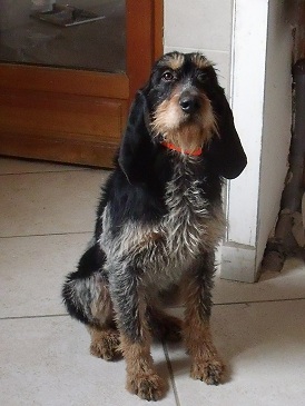 Publication : Du Petit Coutouras Auteur : moi même