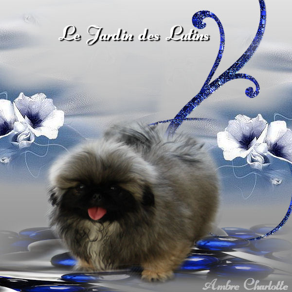 Publication : du Jardin des Lutins Auteur : morel katia