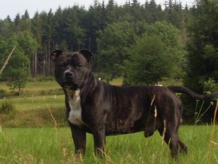 Auteur : martin yohann