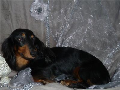 Publication : Corso Nobile Auteur : van Pottelsberghe de la Potterie