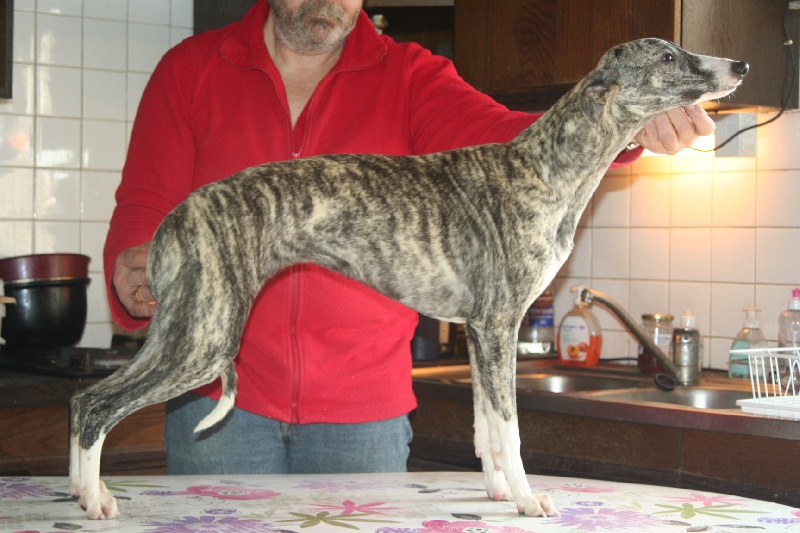 Publication : de Dami'Nous Auteur : Michel Lécuyer