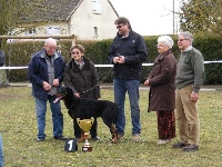 Étalon Berger de Beauce - Earl de la Grange Colombe