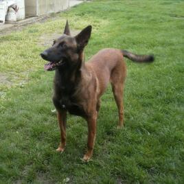 Publication : De La Ferme Des Beaumalous Auteur : La Ferme du Bourg