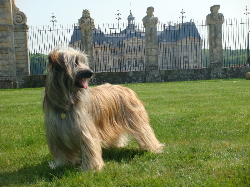 Publication : De Bagatelle 