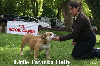 Publication : Little Tatanka