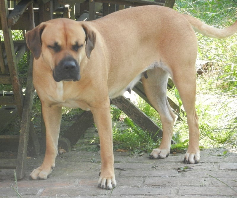 Publication : Del Paraiso Del Canario 