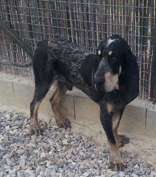 Hercule Du Clos Des Petites Vignes