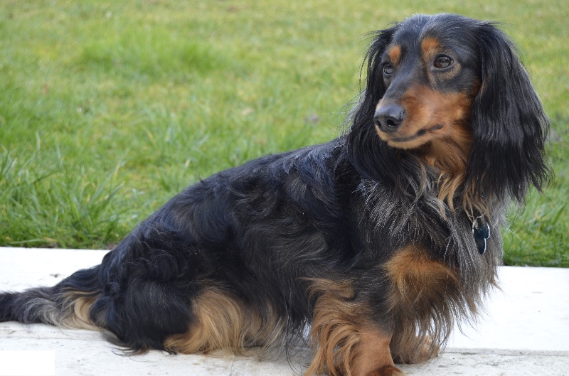 Enjoy de la Générade