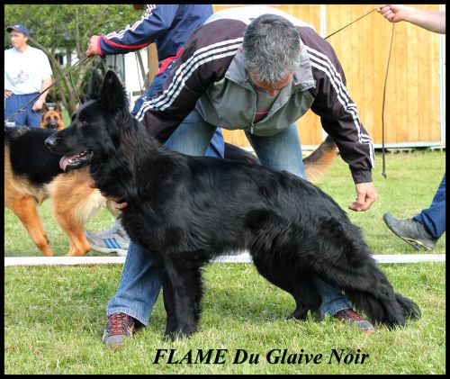 Flame du Glaive Noir