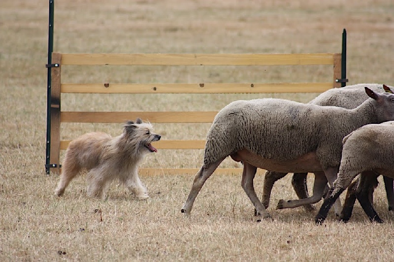 Publication : Du Malh Ardoun 