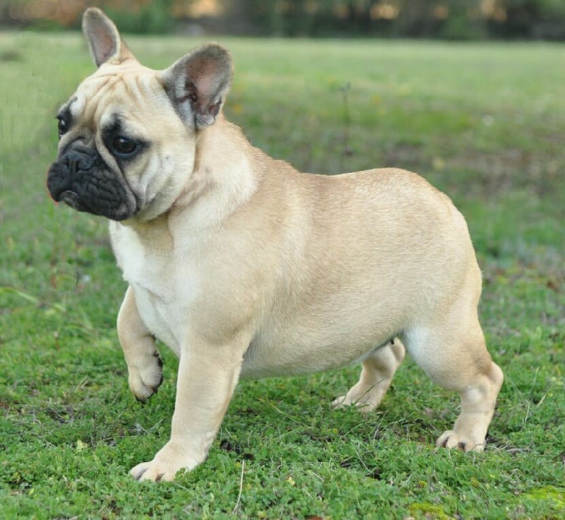 Publication : du Vallon de Beaumont 