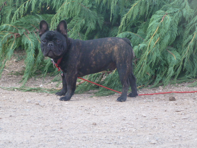 Publication : De Ker Paulo