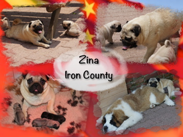 Zina from iron county