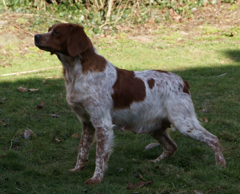 Domy Des sources claires