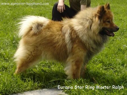 Eurasia Star ring master ralph