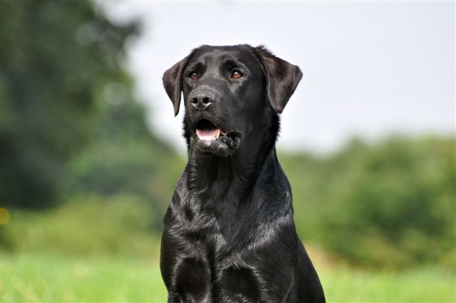 Publication : du Domaine de la Vallée de l'Andelle Auteur : RH.