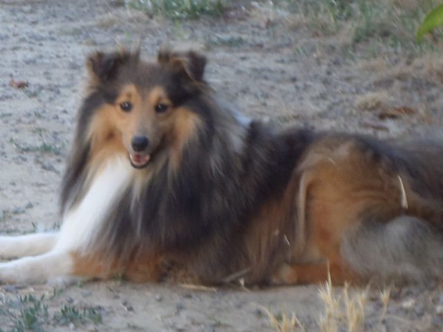 Publication : White And Black Blue Auteur : Espigarez Christine