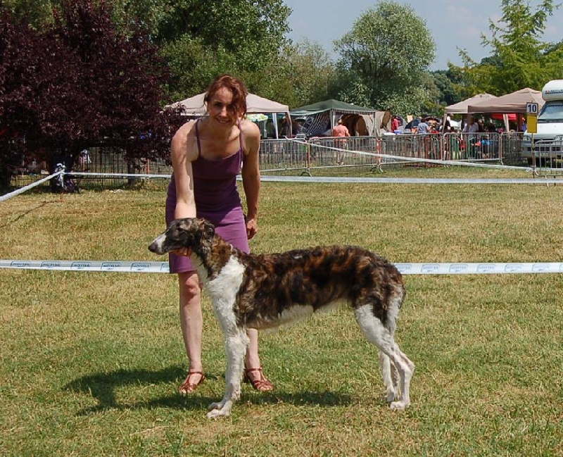 Publication : De La Zingarella Auteur : Gérard Mahé