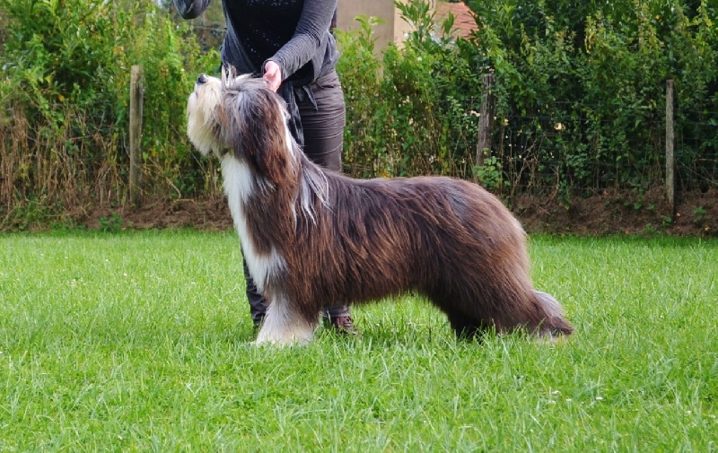 Publication : Des Joyaux De Saint Anne Auteur : charline humbert