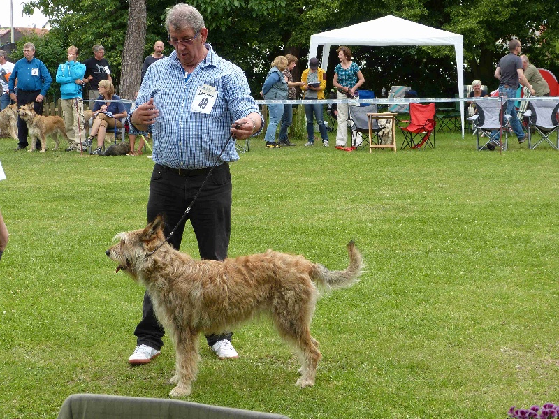 Publication : des eaux chaudes Auteur : Geiregat - Henry
