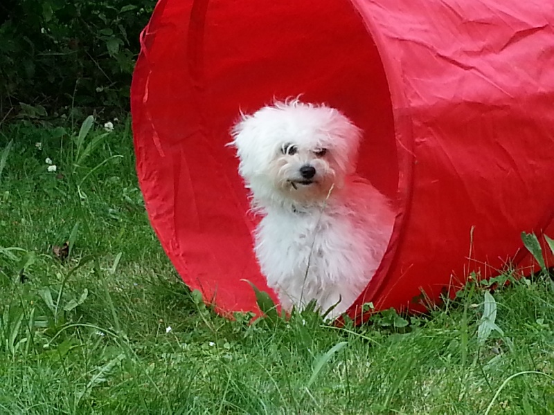 Publication : du Paradis des Perles Blanches 