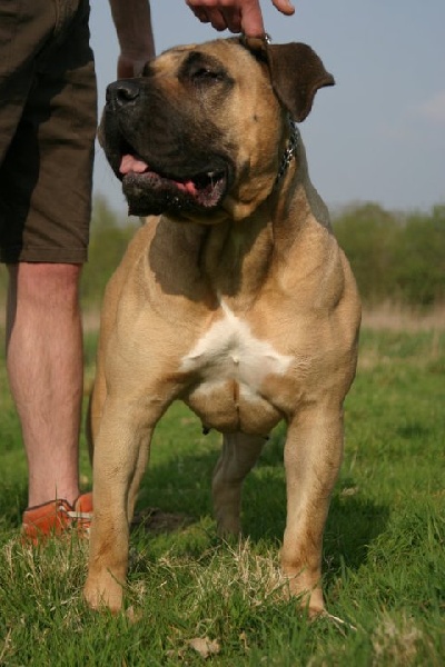 Publication : Tabal Dak 