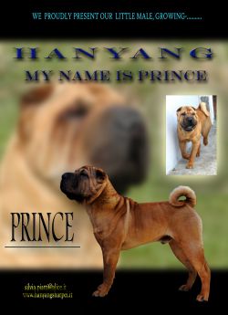 hanyang My name is prince