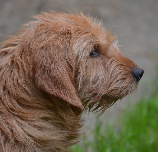 Publication : du Chemin de la Lune aux Reves 