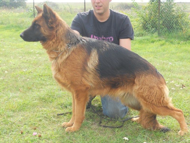 Publication : des Légendaires Nahauri Auteur : tardy