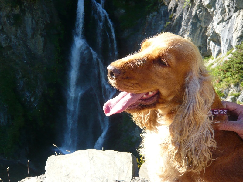 Esther (Sans Affixe)