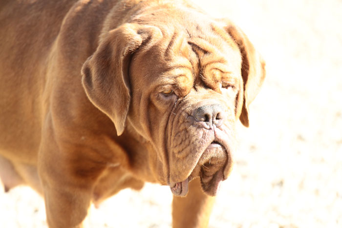 Publication : Des pas de tacite