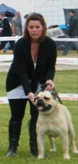 Publication : De La Tribu De Cheyenne Auteur : Mme Boubee