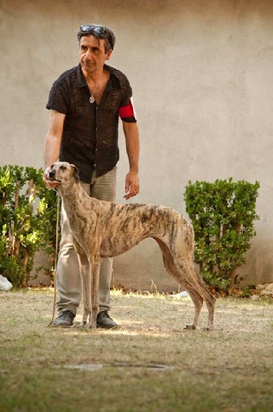 Publication : The foling love Auteur : mme bonnet